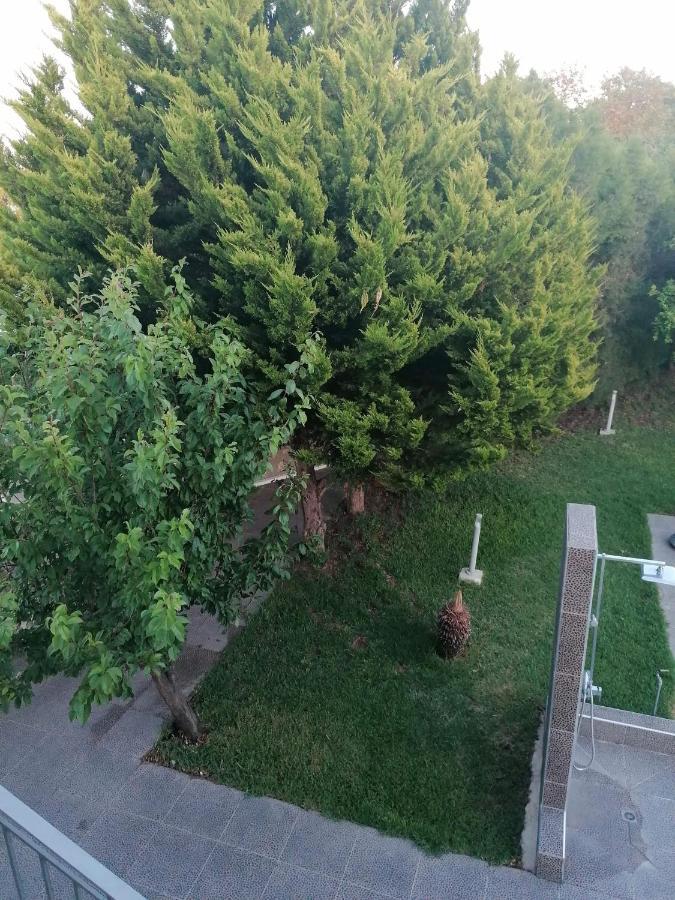 Villa Angela Dhrousha Екстер'єр фото